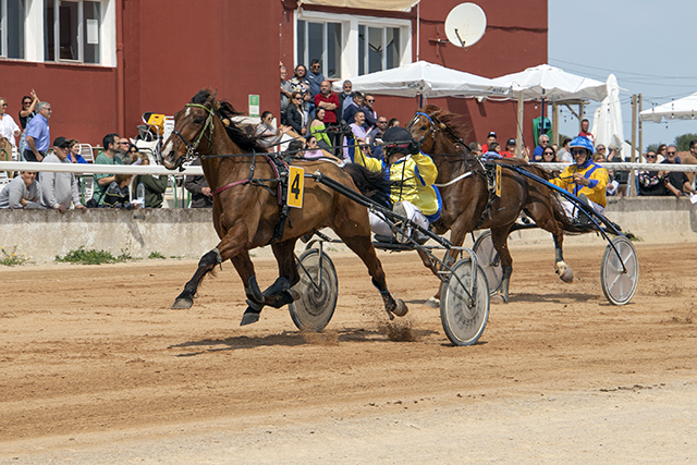 Carreras Trot Mô 9-4-23-12