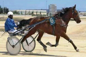 90ª edición del Gran Premi Nacional de Trot