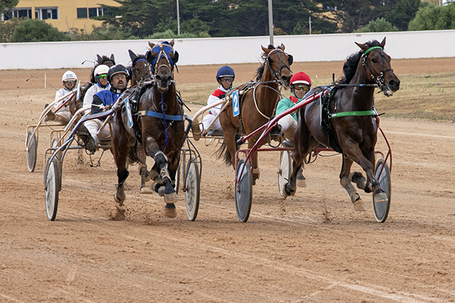 Carreras Diada Hípica Mô 1-5-23-11 CAPVESPRE