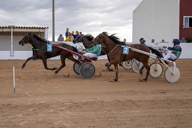 Carreras Diada Hípica Mô 1-5-23-12 CAPVESPRE