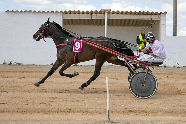 Carreras Trot Mô 14-5-23