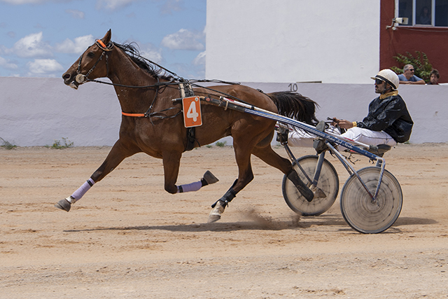 Carreras Trot Mô 14-5-23