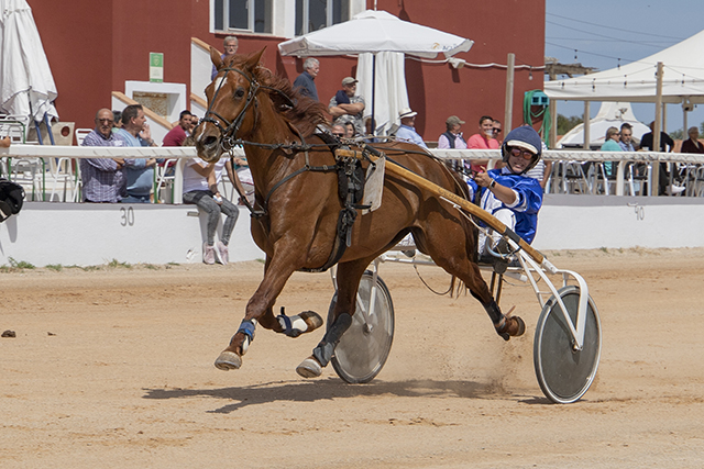 Carreras Trot Mô 7-5-23