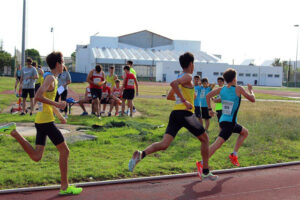 Control Pista verano-1.000 ml masc