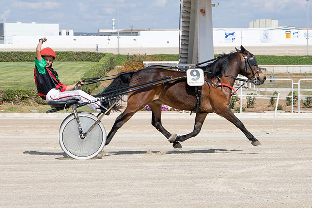 Gran Premi de Minitrot disputado en Son Pardo