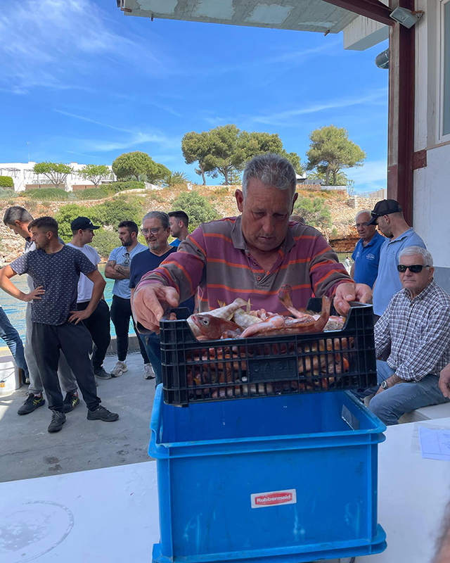 Segona i darrera prova del Campionat Social de Serrans d'Es Nàutic