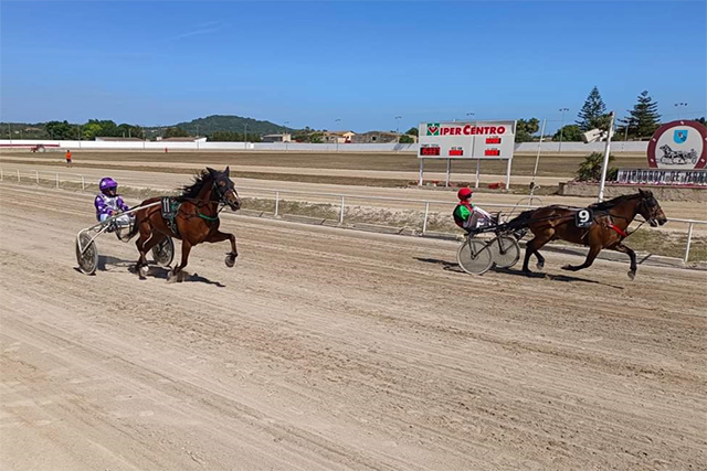 Gran Premi de Minitrot de Manacor