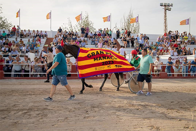Kasta Maker SB-Gran Premi de Manacor