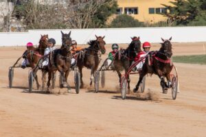 FB_IMG_1700668235124