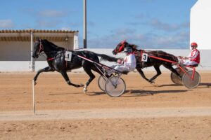 FB_IMG_1700668240686