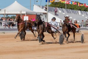 FB_IMG_1700668256431