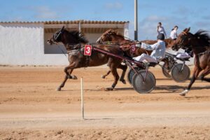 FB_IMG_1700668260115