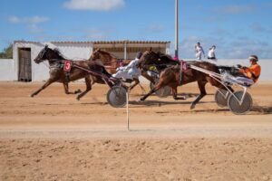 FB_IMG_1700668263550