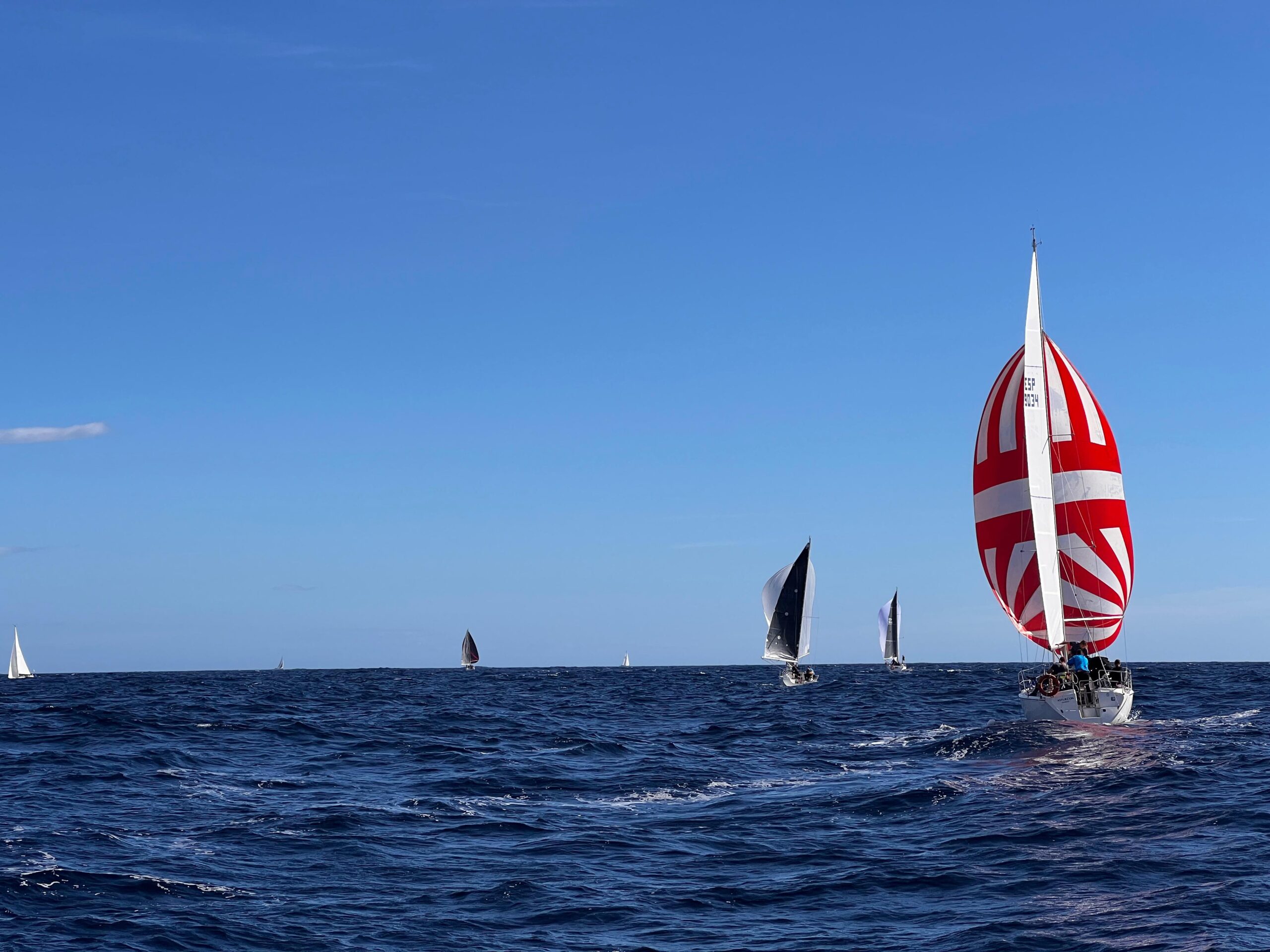 PHOTO-2023-11-12-13-56-01 (1)