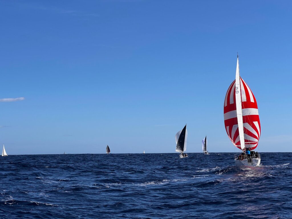 PHOTO-2023-11-12-13-56-01 (1)