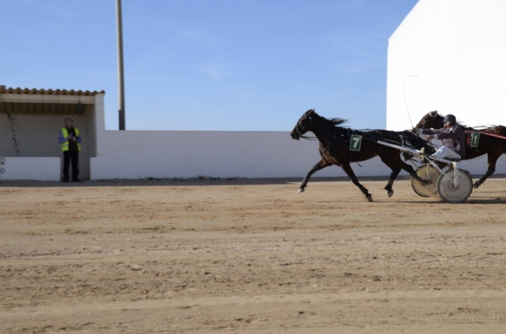 Screenshot_20231213_143316_Gmail