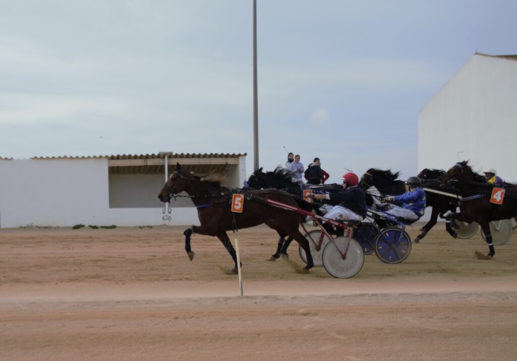 B.Pons i Bella de Magia