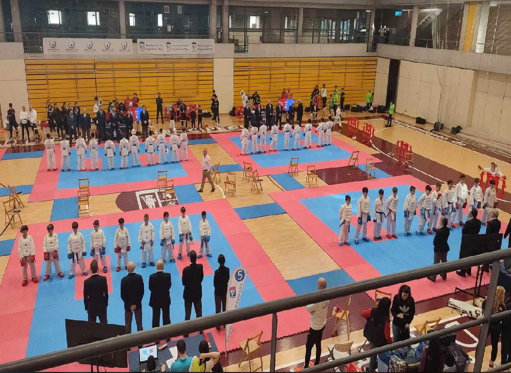 Art Gim Menorca en el campeonato de Madrid alevín infantil y juvenil de kárate