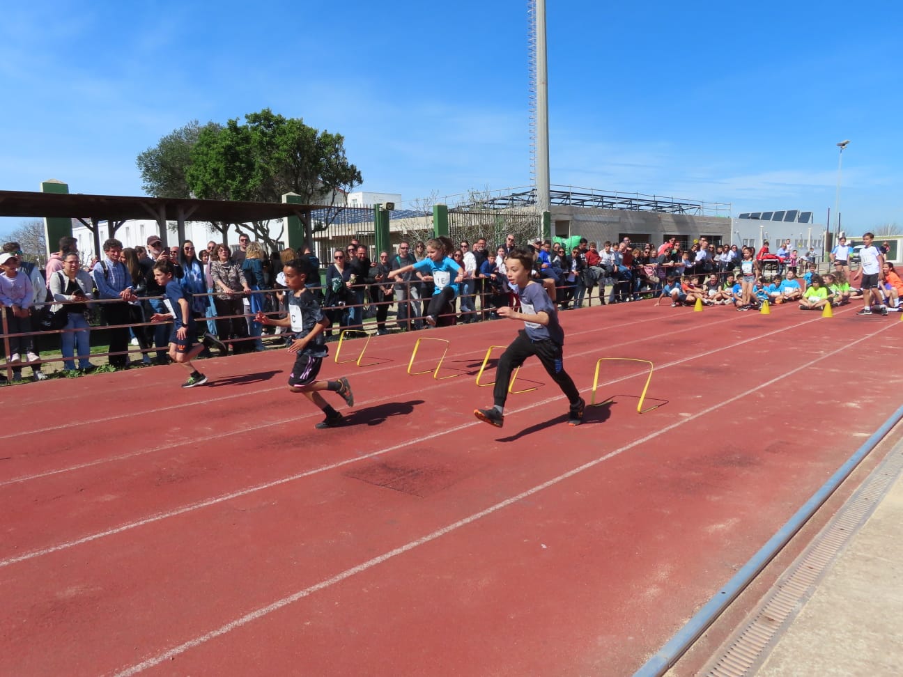 WhatsApp Image 2024-03-17 at 14.03.20