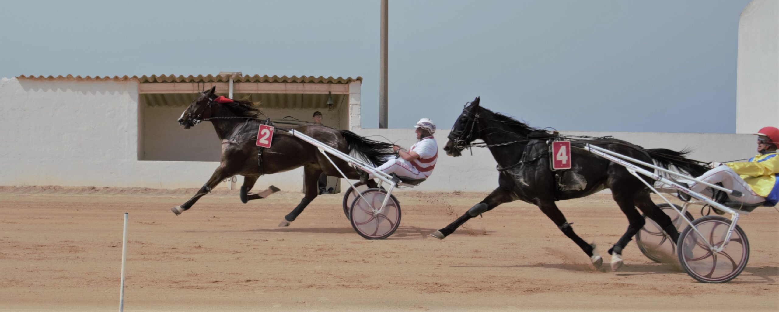 J.Gelabert y Barman D'eglefin