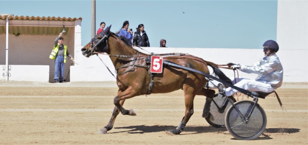 Juan Carlos i Italica (1)