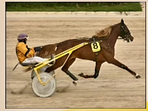 Luzo SAS, menorquín en el Gran Premi Nacional 2024