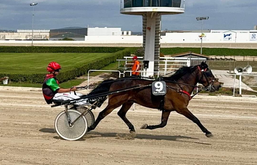 Narcis Carreras, con D'en Peril gana su cuarto Gran Premi de Minitrot