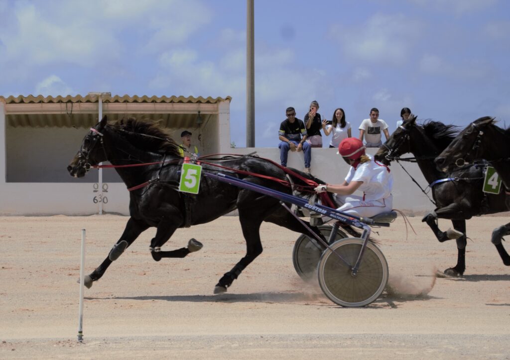 Ono_M_i_Falucho_M[1]