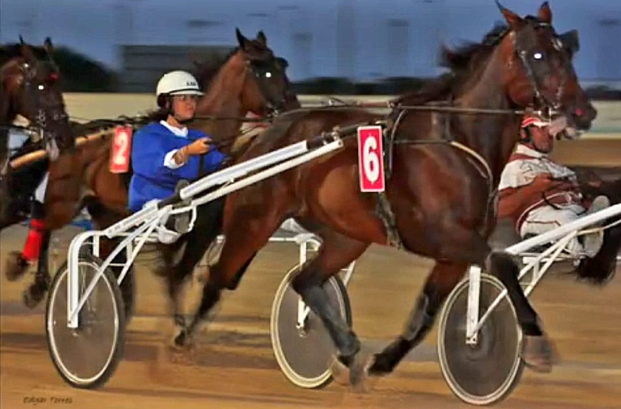Carreras hipódromo municipal de Maó-Ses carreras a la fresca