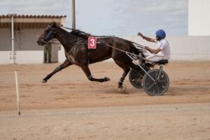 462697005_10232399880074801_8552960837472123310_n