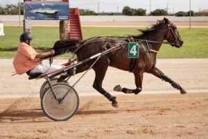 462697278_10232399884394909_8087269508867239228_n