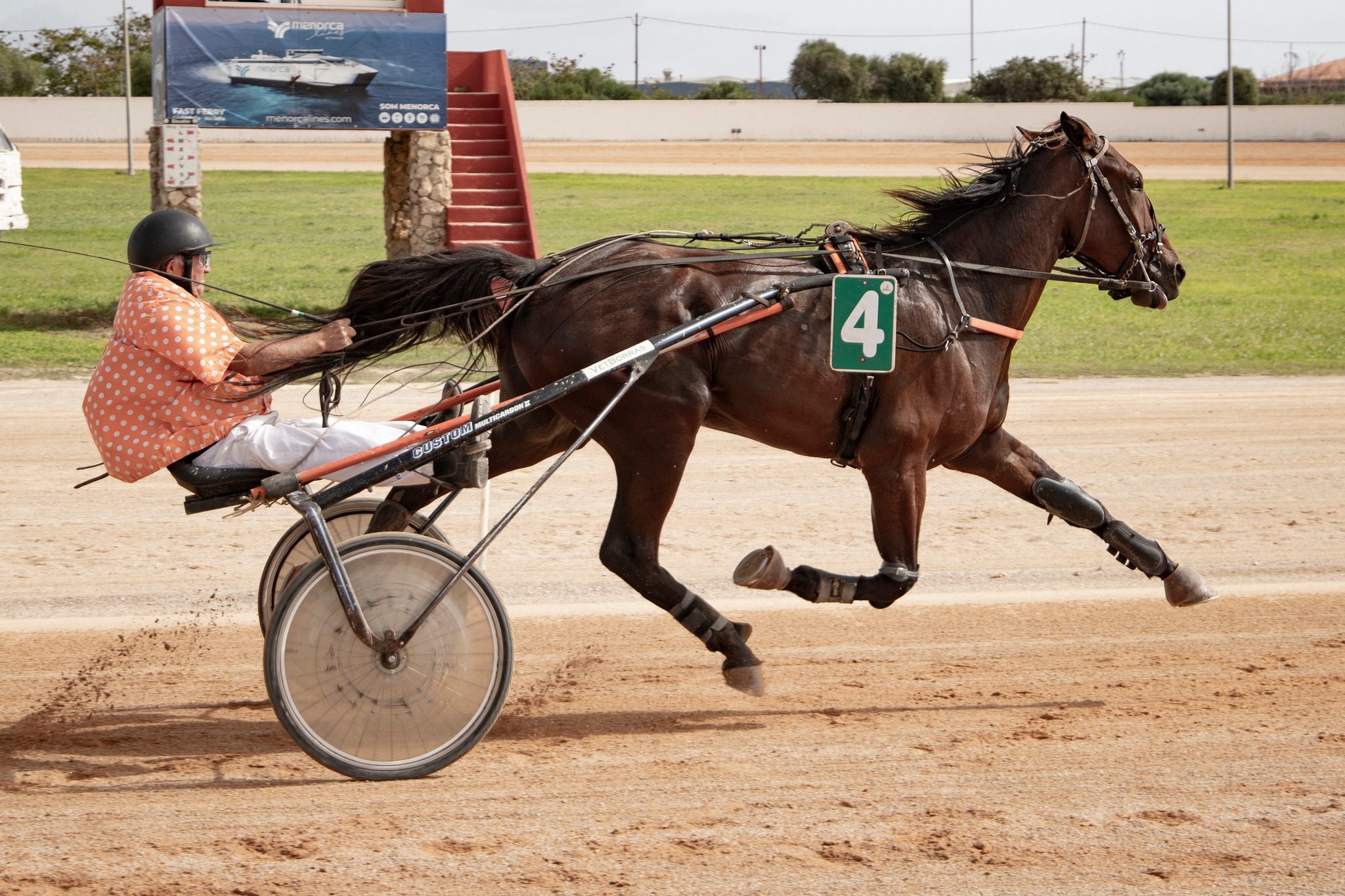 462697278_10232399884394909_8087269508867239228_n