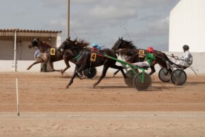 462776838_10232399878194754_8227936603228558476_n