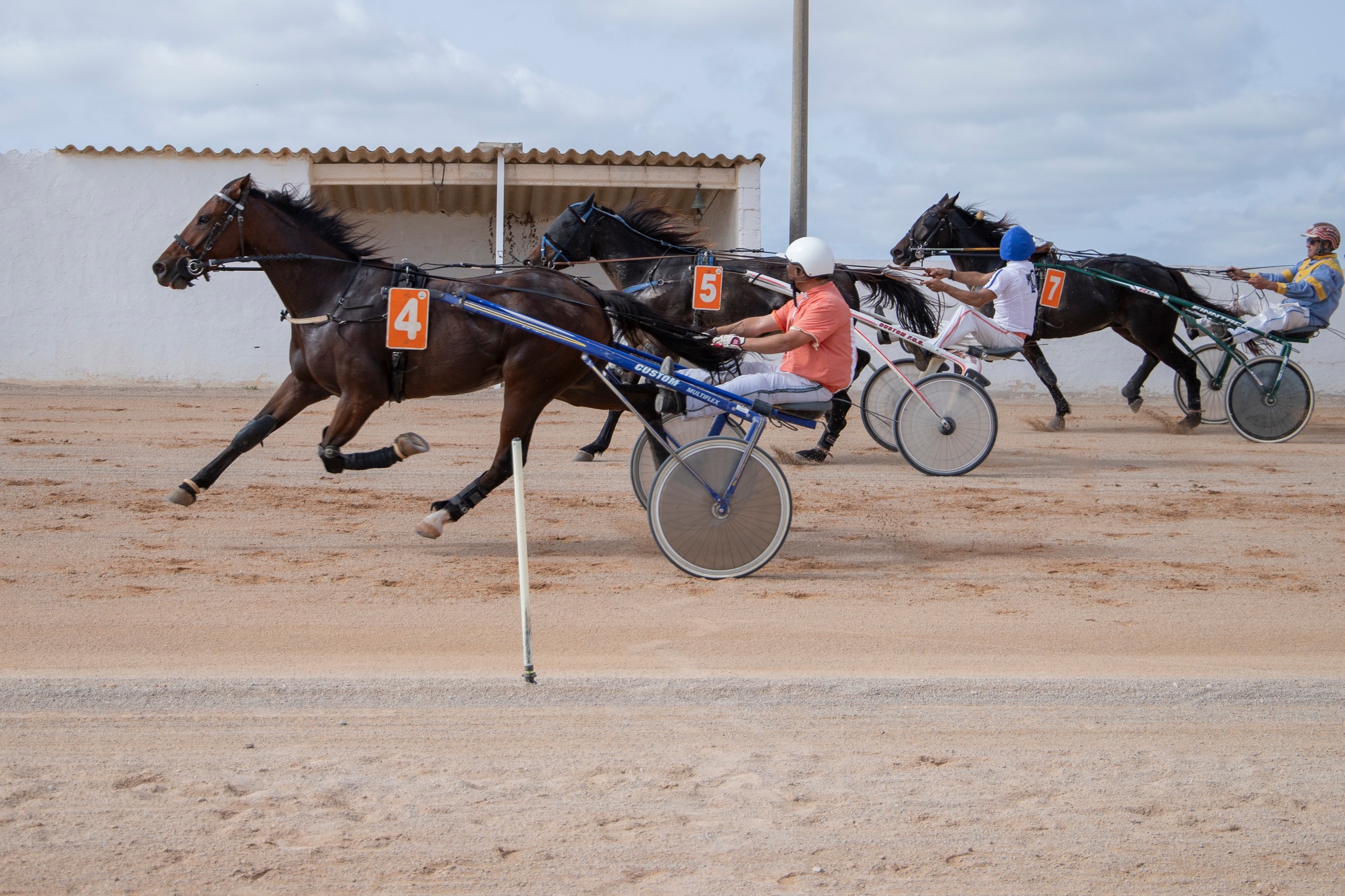 462801440_10232399881354833_4771991581392555561_n