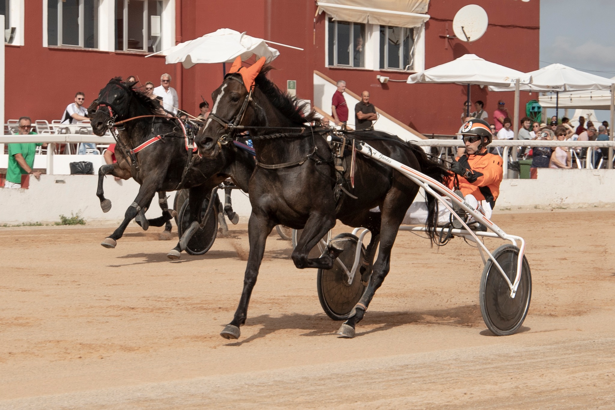 462872752_10232399876714717_6234123896141501242_n