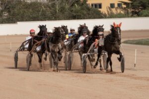 462886652_10232399876154703_3522279526145882737_n