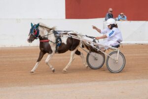 FB_IMG_1728487867687