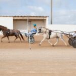 FB_IMG_1728487872141