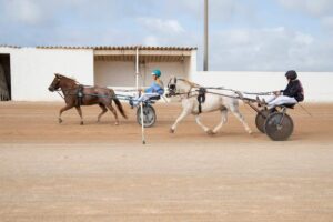 FB_IMG_1728487872141