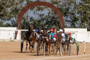 FB_IMG_1728487882007