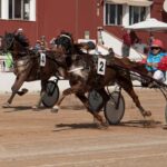 FB_IMG_1728487886840