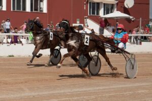 FB_IMG_1728487886840