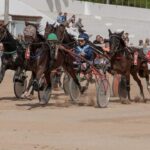 FB_IMG_1728487895219