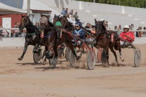 FB_IMG_1728487895219