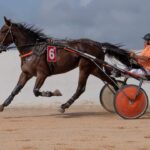 FB_IMG_1728487900336