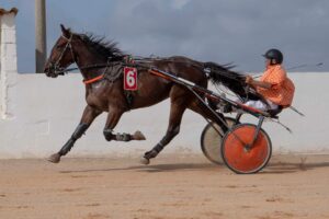 FB_IMG_1728487900336