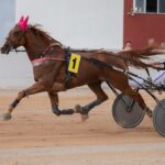 FB_IMG_1728487904203