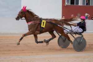 FB_IMG_1728487904203