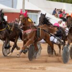 FB_IMG_1728487908496