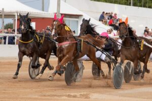 FB_IMG_1728487908496